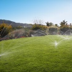 Regular grass watering Auckland