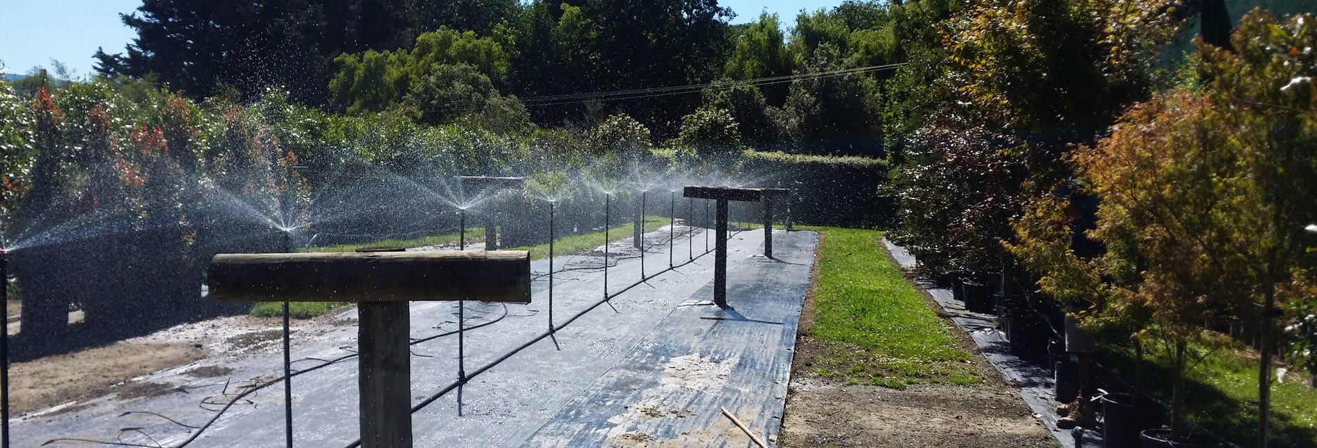 THINK WATER AUCKLAND Garden Irrigation Rainwater Harvesting